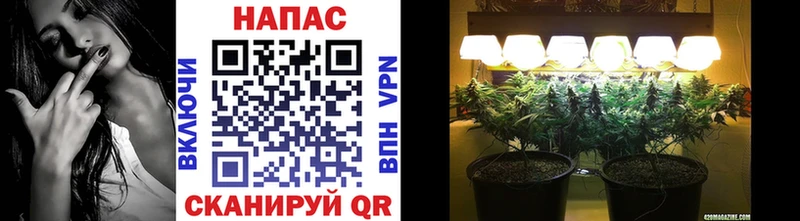 Канабис MAZAR  Кимры 